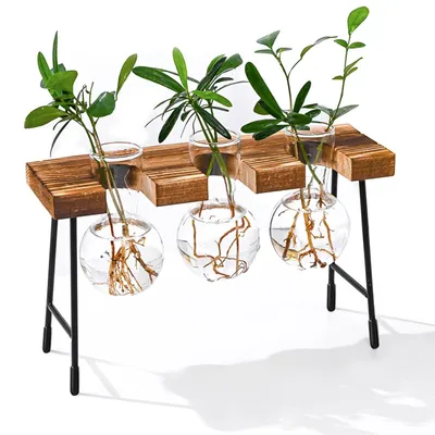 Productafbeelding van Reageerbuis Vaas Hydroponics Set met Houten Houder - Decoratieve Glas Plant voor Kantoor en Thuis (3 Vazen)