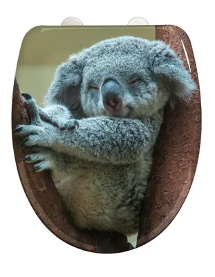 Produktbild von WENKO WC SITZ KOALA Absenkautomatik Toiletten Deckel Klo Brillen Australien Tier
