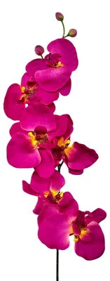 Produktbild von Kunstblume, ORCHIDEENZWEIG, Orchidee 78cm CERISE