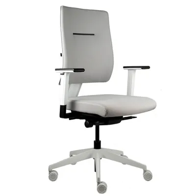 Produktbild von Viasit Toleo, ergonomischer Bürostuhl, bis zu 150kg belastbar