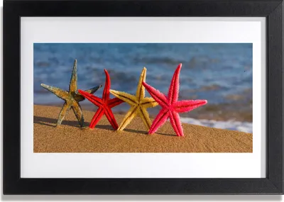 Produktbild von Bild 30x20 MDF-Rahmen Wandkunst Starfish-Strand-Kunst