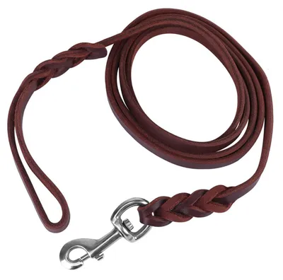 Image de Laisse pour chien en cuir véritable, longueur 1,2 m, idéale pour l'entraînement et les chiots