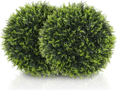 Immagine prodotto di Fortuna Lai Set di 2 piante artificiali di cedro, 45 cm Piante da appartamento, piante artificiali, piante decorative, piante decorative per la casa, l'ufficio, l'ingresso, il giardino, il verde