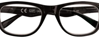 Image de Lunettes de lecture Zippo PR62 +2,00 dioptries, noires