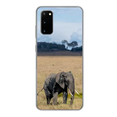 Produktbild von MuchoWow® Handyhülle Schutzhülle Hülle für Samsung Galaxy S20 Elefant - Gras - Tiere - Natur Silikon Softcase Handy Hülle - Bild