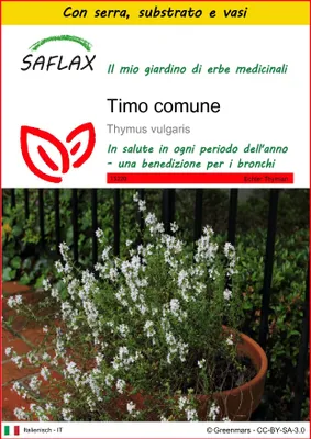 Immagine prodotto di SAFLAX Insieme di coltivazione - Timo comune - 200 semi - Thymus