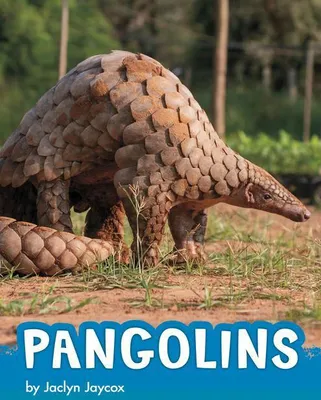 Produktbild von Pangolins