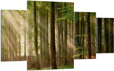 Produktbild von Bild auf Leinwand - Leinwandbild - Wald Baum Natur - 160x90cm - Wand Bild - Wanddeko - Wandbilder - Leinwanddruck - Bilder - Kunstdruck - Wanddekoration - Leinwand bilder - Wandkunst - DL160x90-3628