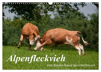 Produktbild von Alpenfleckvieh (Wandkalender 2027 DIN A3 quer), CALVENDO Monatskalender