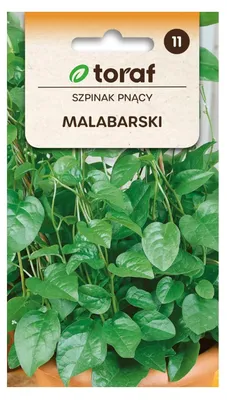 Obrázok produktu pre Špenát popínavý MALABARSKI 0,5 g