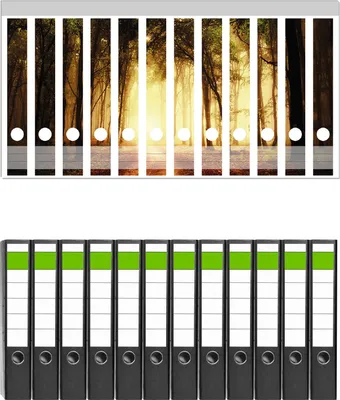 Produktbild von Wallario 12 Stück schmale Ordner inkl. Klebeetiketten mit Motive Sonnenuntergang auf dem Waldweg -  Set mit Rückenschildern / Ordnerrücken Stickern