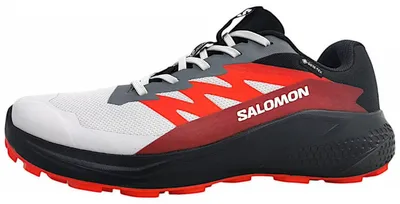 Produktbild von Salomon Alphaglide GTX Schnürer Weiß in Gr. 46.5