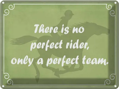 Produktbild von vianmo Blechschild 30x40 cm there is no perfect rider only Dekoration