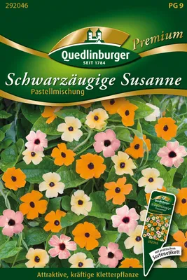 Produktbild von Schwarzäugige Susanne,  Pastell Selektion