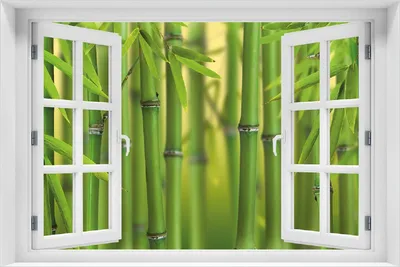 Produktbild von Wallario Poster mit Fenster-Illusion: Grüner Bambuswald, Größe: 100 x 150 cm