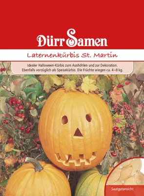 Produktbild von Laternenkürbis St. Martin | Laternenkürbissamen von Dürr Samen