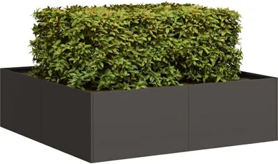 Productafbeelding van Maison Exclusive - Plantenbak zwart, 100x100x30 cm, staal