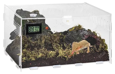 Produktbild von GOEDCH Reptilien Terrarium Box: 20×12×12cm mit Temperatur