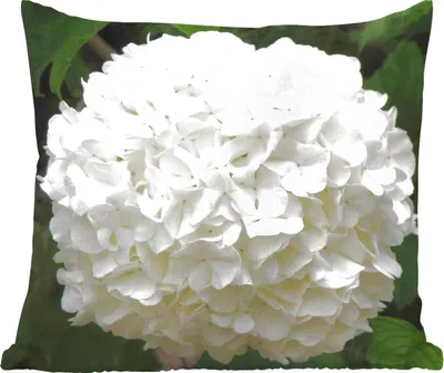 Produktbild von MuchoWow® Zierkissen Sofakissen Wohnzimmer Dekokissen 45x45 cm Weiße Hortensie - Schlafpolster - Polster für das Sofa