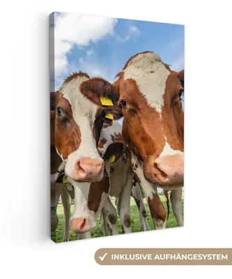 Produktbild von MuchoWow® - Leinwandbilder - Kühe - Tiere - Weide - Natur, Wandbild, Wanddeko Bilder Wohnzimmer, 60x90 cm