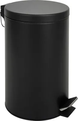 Immagine prodotto di Cestino Per Rifiuti, Acciaio Inox Nero, 12L, 25X39Cm