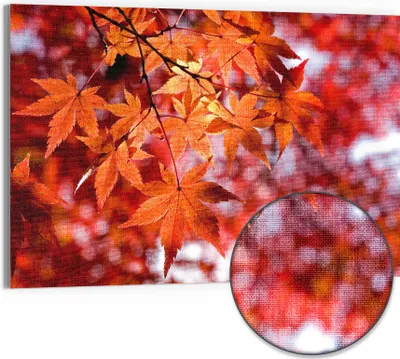 Produktbild von DEQORI Hybrid Leinwand Bild 90x60 cm 'Herbstblattglanz' Wandbild Glas flach modern