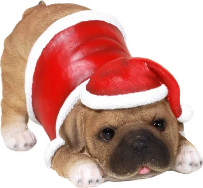 Produktbild von Weihnachts Mops auffordernd