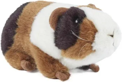 Productafbeelding van Realistisch zacht cavia knuffel - milieuvriendelijk pluche speelgoed voor kinderen, 18 cm