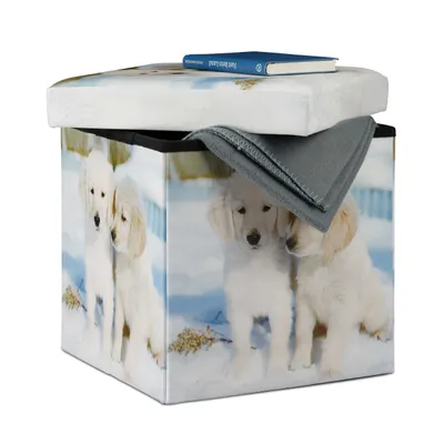 Image de Relaxdays : Tabouret de rangement avec motif de chien, boîte de rangement pliable, cube de siège HBT : 38 x 38 x 38 cm, multicolore