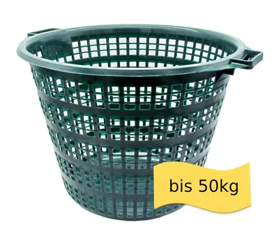 Produktbild von Erntekorb aus Kunststoff – stapelbarer Obst- & Gemüsekorb, Kartoffelkorb mit Griffen, 2 Größen (25kg / 50kg) - 1 x groß bis 50kg