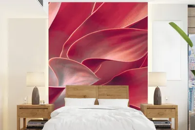 Produktbild von MuchoWow® Fototapete für Wohnzimmer oder Schlafzimmer Wandtapete Vinyl Motivtapete Stilleben - Blätter - Pflanze - Rosa - 190x260 cm - Papiertapete