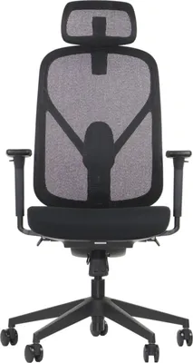 Immagine prodotto di Sedia girevole ergonomica da ufficio LARCK, base in nylon, braccioli regolabili, poggiatesta, schienale e supporto lombare, estensione del sedile, nero
