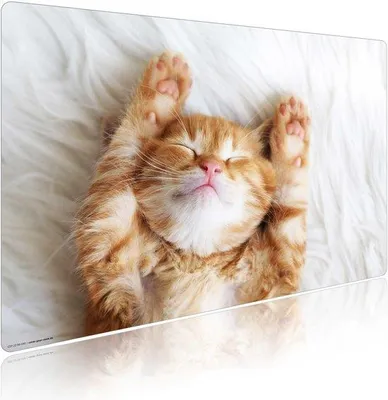 Produktbild von Azomor® und Niedliche Schreibtischmatte mit Katzenmotiv für Kinder und Erwachsene