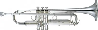 Immagine prodotto di Yamaha YTR-5335GS II
