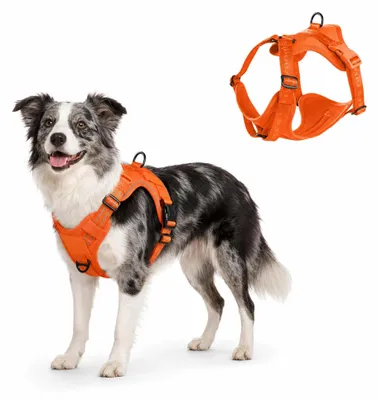 Produktbild von Solidchoice – Verstellbares, rutschfestes Hundegeschirr mit weicher Polsterung, Orange, Größe M