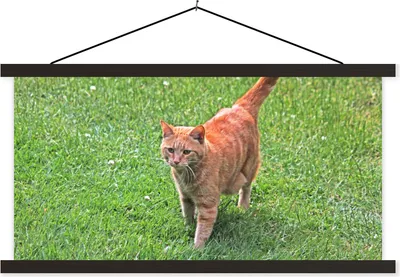 Produktbild von MuchoWow® Textilposter Katze - Rot - Katze - Mädchen - Kinder - Jungen - Kind 90x45 cm mit schwarzem Rahmen - Klemmleisten