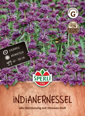 Produktbild von SPERLI Indianernessel Samen Monarda citriodora 200 Pflanzen