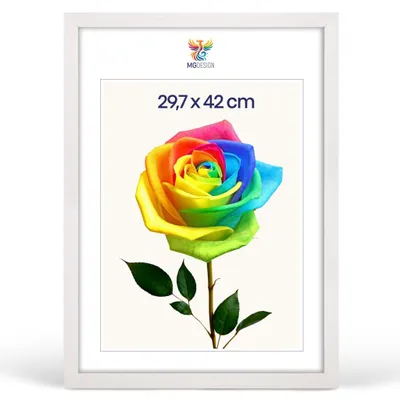Produktbild von MG Design Bilderrahmen Weiß A3 29,7x42 cm - Posterrahmen Echtholz mit Acrylglas, stabile Wandaufhängung, hoch/quer
