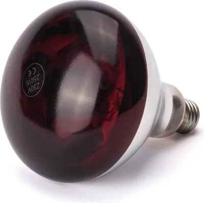 Produktbild von HENDI Infrarotlampe rot 250W