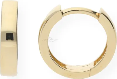 Produktbild von JuwelmaLux Creolen 333 Gold JL10-06-0065