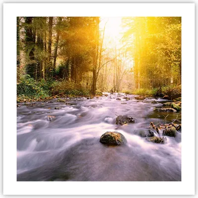 Produktbild von Poster - Poster ohne Rahmen - Herbst Wald Berg Fluss - 50x50 cm - Wand Bild - Wanddeko - Wandbilder - Kunstposter - Wandposter - Bilder - Kunstdruck - Wanddekoration - Wandbild - P2XAC50x50-0504