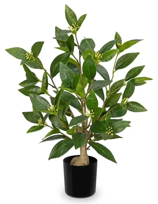 Produktbild von Omgoods – 48 cm hohe, künstliche Lorbeerbäume für den Innenbereich, in schwarzen Töpfen