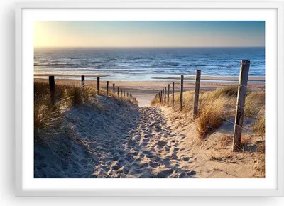 Produktbild von Gerahmtes Poster - Weißer Rahmen - Meer Strand Düne - 70x50 cm - Wand Bild - Wanddeko - Wandbilder - Kunstposter - Wandposter - Bilderrahmen - Bilder - Kunstdruck - Wandbild - P2WAA70x50-3612