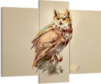 Produktbild von Bild auf Leinwand - Leinwandbild - Eule Vogel Natur - 130x100cm - Wand Bild - Wanddeko - Leinwanddruck - Bilder - Kunstdruck - Wanddekoration - Leinwand bilder - Wandkunst - CB130x100-3856