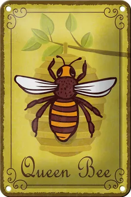 Produktbild von Blechschild Hinweis 12x18cm Queen Bee Biene Honig Imkerei