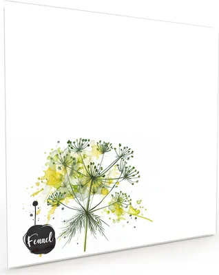 Produktbild von Küchenrückwand Spritzschutz Glas mit Motiv Fennel Kunstwerk 40 x 40 cm