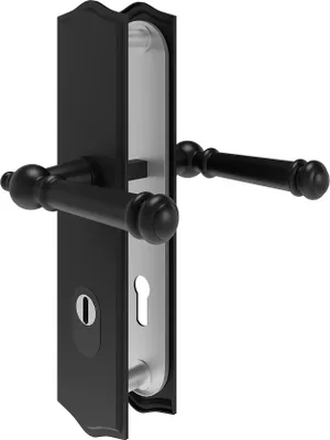 A black door handle set with a silver backplate, shown against a white background.