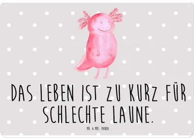 Produktbild von Mr. & Mrs. Panda tafel Axolotl Glücklich DIN A4 - Grau Pastell - Geschenk, Retro Blechschild, Schild, Türschild, gut Gelaunt, Wandbild, wandtafel, Motivation, Lebensfroh