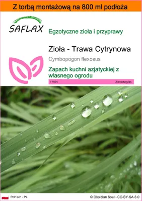 Zdjęcie produktu dla SAFLAX - Garden in the bag - Zioła - Trawa Cytrynowa - 50 Nasiona - Z podłożem uprawowym w praktycznej, samorozkładającej się torbie - Cymbopogon flexosus