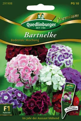 Artikelbild 1 von 'Bartnelken Bodestolz Mischung' aus der Kategorie Nelkensamen